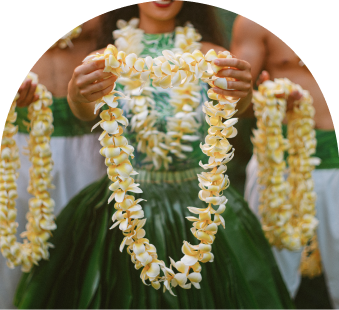 AHA AINA LUAU