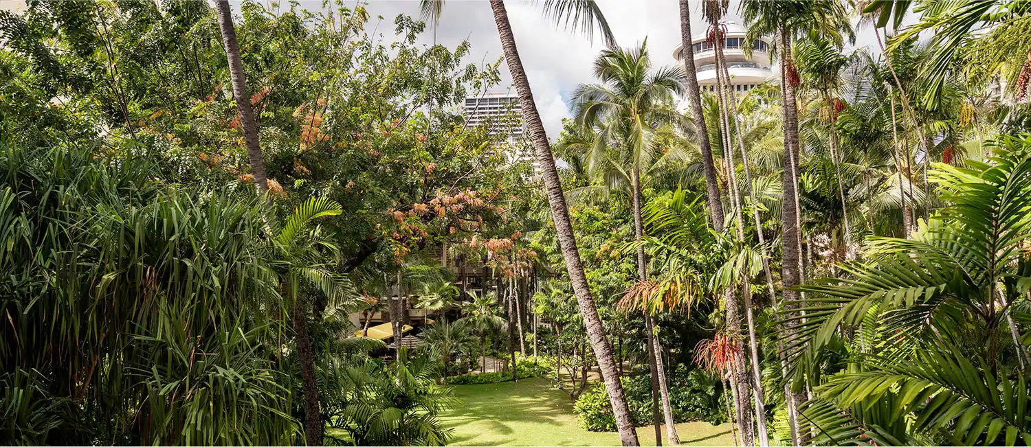 View of The Royal Hawaiian’s lush garden from the guest room.