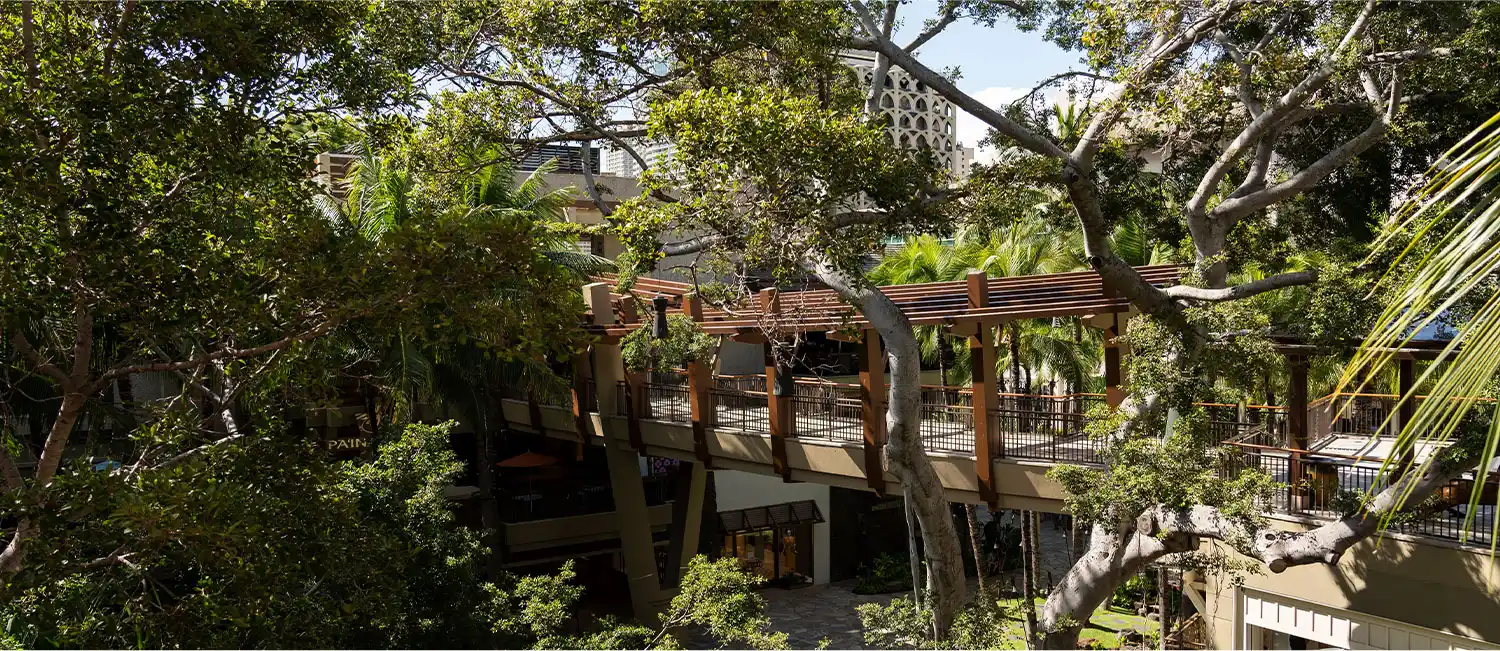 Surrounding view near the Royal Grove shopping area in Waikiki.