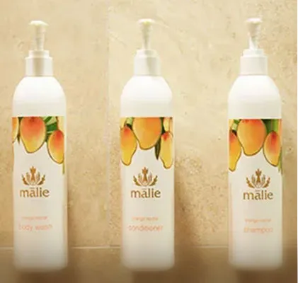 Photo of the amenities