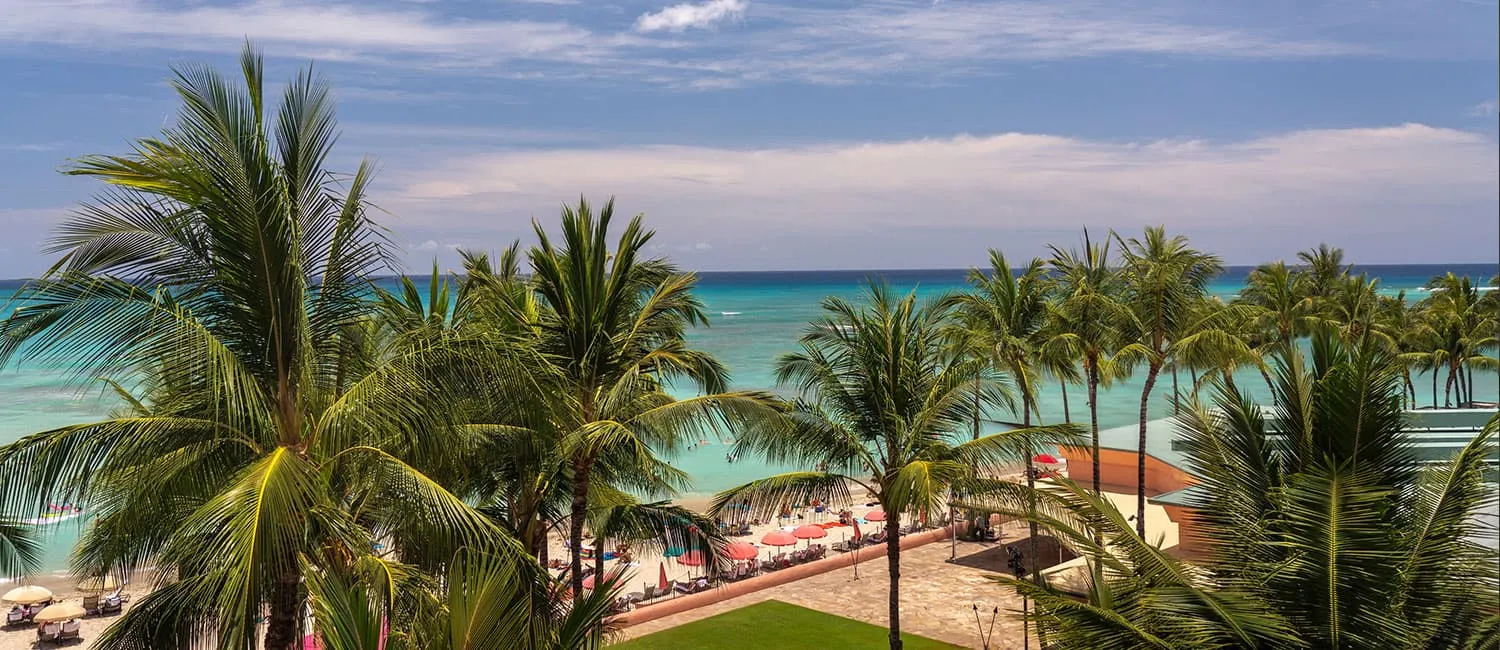 Ocean view of Waikiki Beach with palm trees and pink umbrellas.