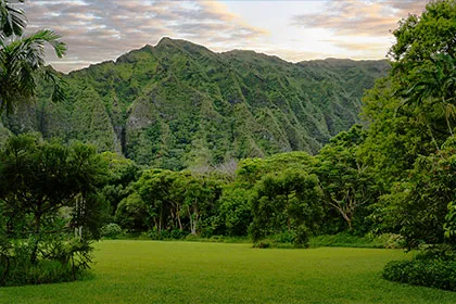 Hoomaluhia Botanical Garden